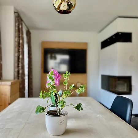 Apartment Der Steinadler