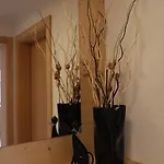 Bio - Der Steinadler